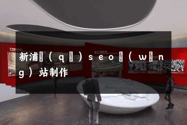 新浦區(qū)seo網(wǎng)站制作