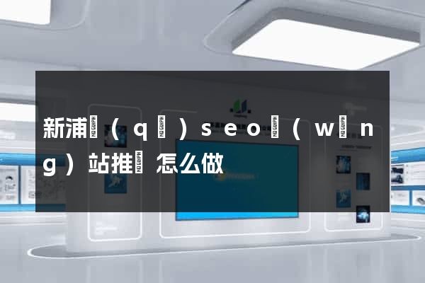新浦區(qū)seo網(wǎng)站推廣怎么做