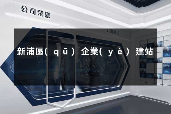 新浦區(qū)企業(yè)建站