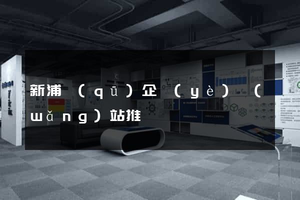 新浦區(qū)企業(yè)網(wǎng)站推廣