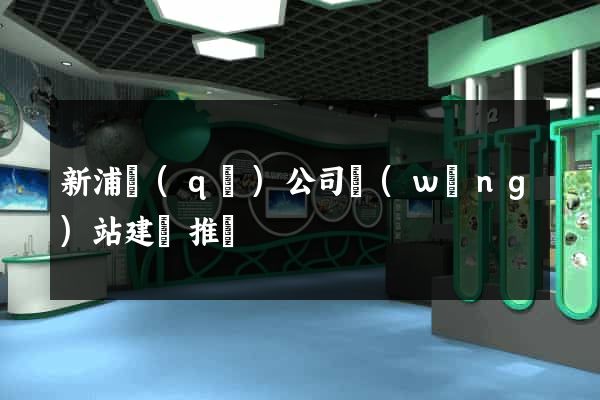 新浦區(qū)公司網(wǎng)站建設推廣