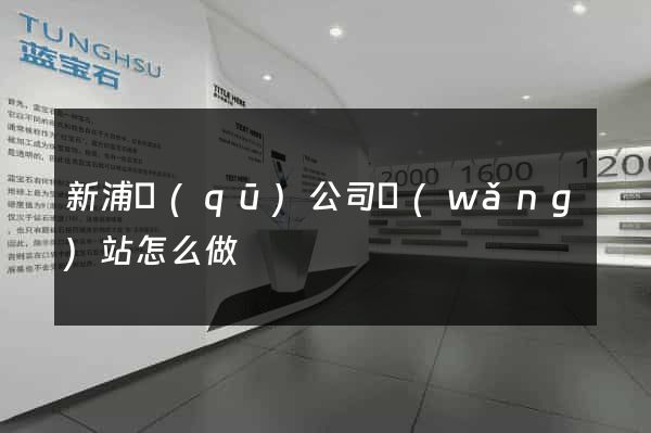 新浦區(qū)公司網(wǎng)站怎么做
