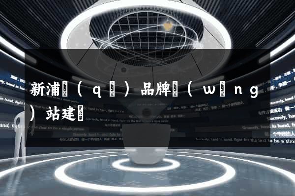 新浦區(qū)品牌網(wǎng)站建設