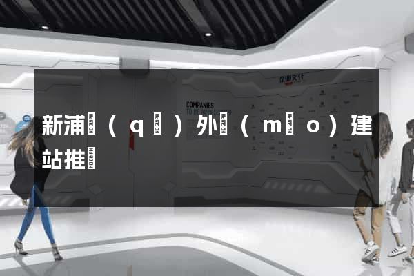 新浦區(qū)外貿(mào)建站推廣