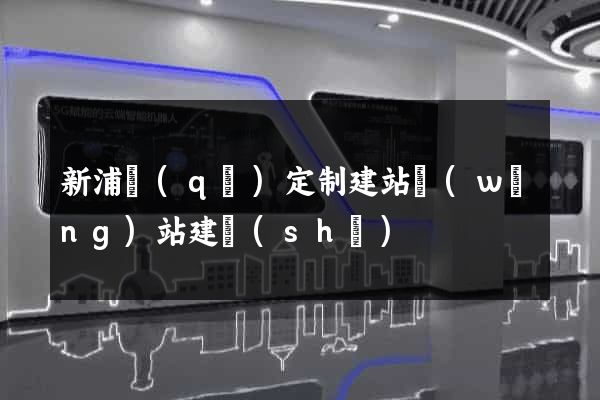 新浦區(qū)定制建站網(wǎng)站建設(shè)