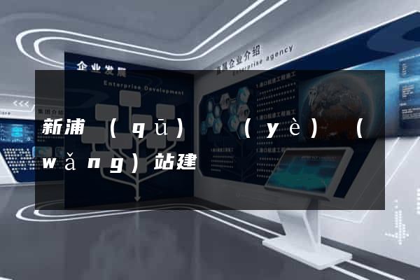 新浦區(qū)專業(yè)網(wǎng)站建設