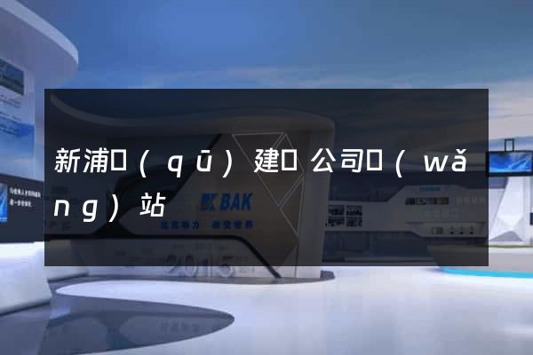 新浦區(qū)建設公司網(wǎng)站