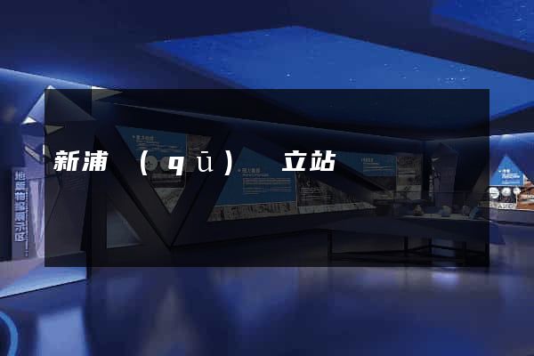 新浦區(qū)獨立站運營