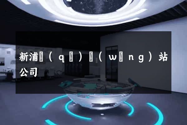 新浦區(qū)網(wǎng)站公司