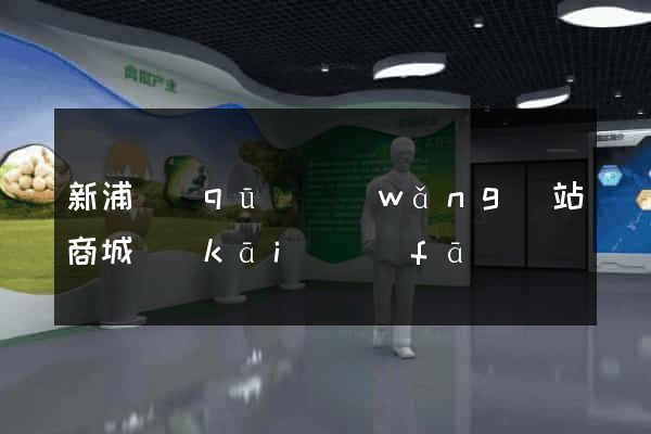 新浦區(qū)網(wǎng)站商城開(kāi)發(fā)