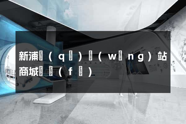新浦區(qū)網(wǎng)站商城開發(fā)