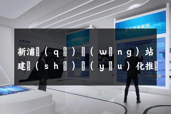 新浦區(qū)網(wǎng)站建設(shè)優(yōu)化推廣