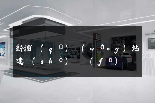 新浦區(qū)網(wǎng)站建設(shè)開發(fā)
