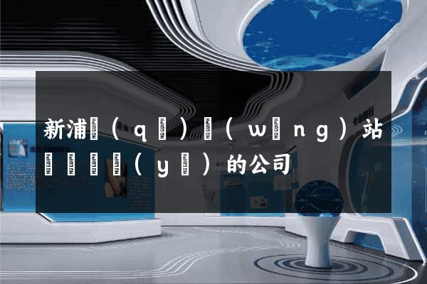 新浦區(qū)網(wǎng)站設計專業(yè)的公司