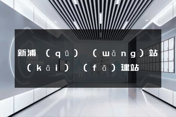 新浦區(qū)網(wǎng)站開(kāi)發(fā)建站