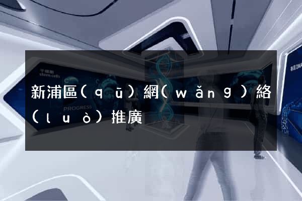 新浦區(qū)網(wǎng)絡(luò)推廣