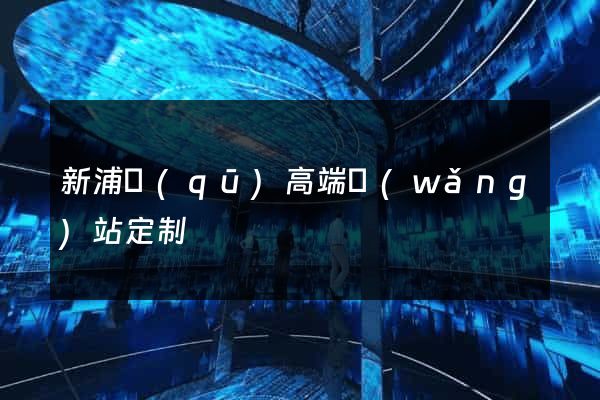 新浦區(qū)高端網(wǎng)站定制