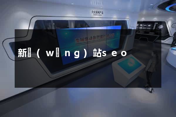 新網(wǎng)站seo