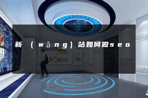 新網(wǎng)站如何做seo