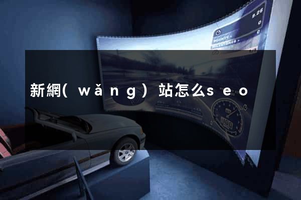 新網(wǎng)站怎么seo