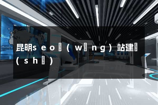 昆明seo網(wǎng)站建設(shè)