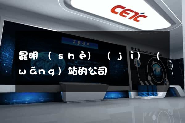 昆明設(shè)計(jì)網(wǎng)站的公司