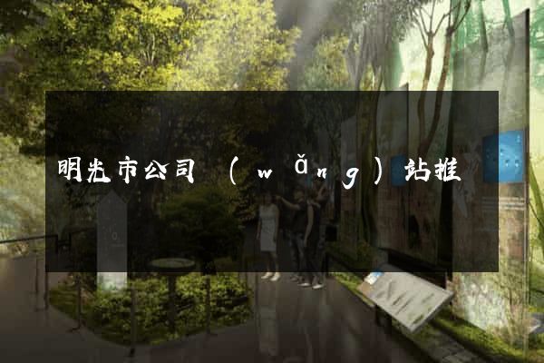 明光市公司網(wǎng)站推廣