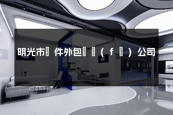 明光市軟件外包開發(fā)公司