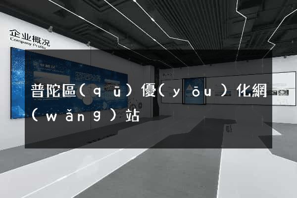 普陀區(qū)優(yōu)化網(wǎng)站