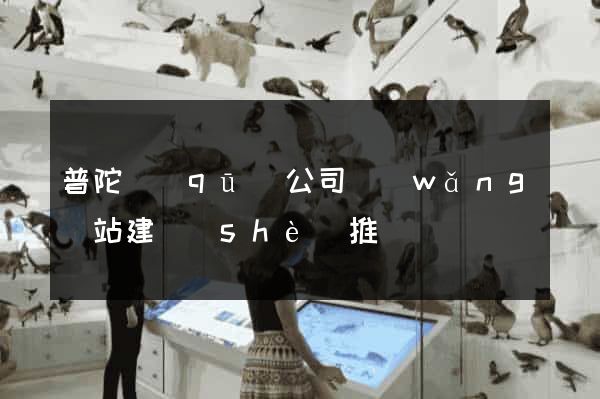 普陀區(qū)公司網(wǎng)站建設(shè)推廣