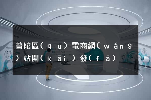 普陀區(qū)電商網(wǎng)站開(kāi)發(fā)