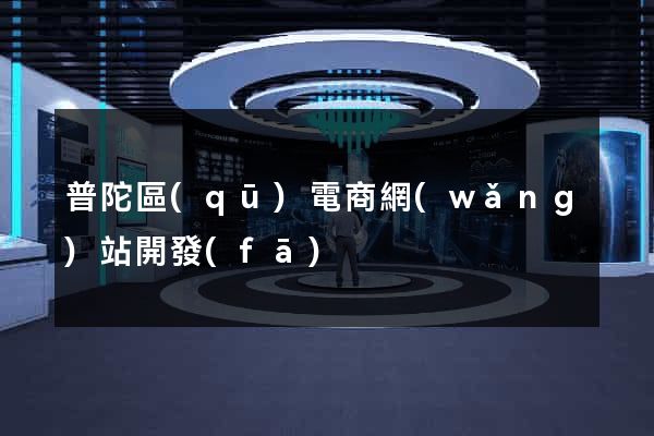 普陀區(qū)電商網(wǎng)站開發(fā)