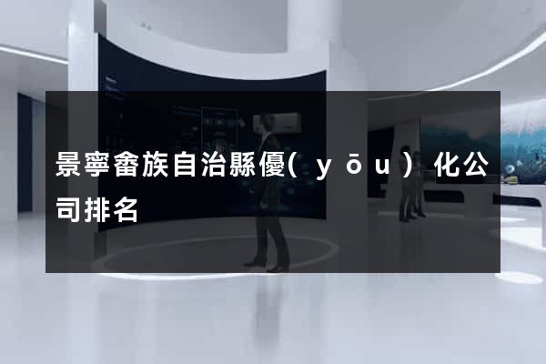 景寧畬族自治縣優(yōu)化公司排名