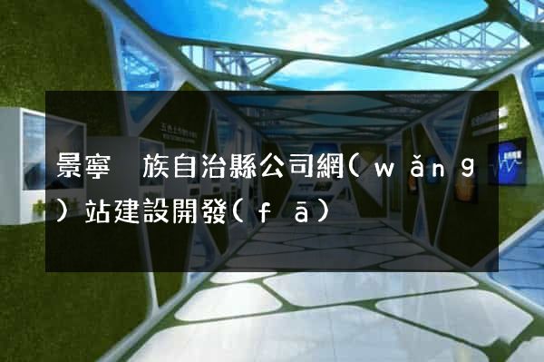 景寧畬族自治縣公司網(wǎng)站建設開發(fā)