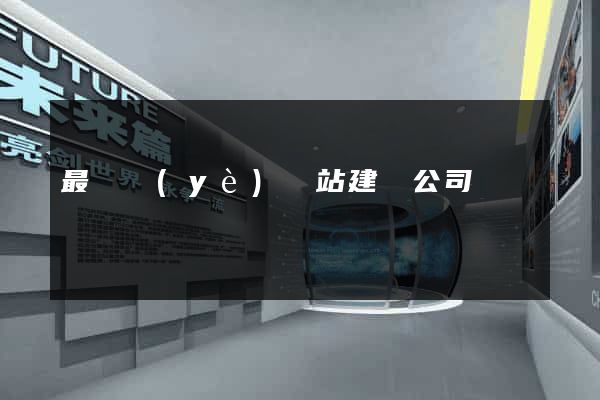 最專業(yè)網站建設公司