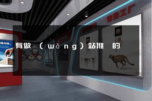 有做網(wǎng)站推廣的