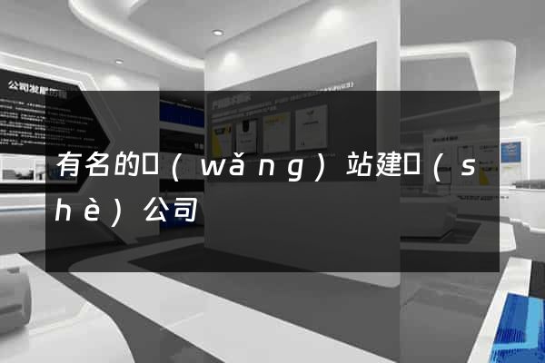 有名的網(wǎng)站建設(shè)公司