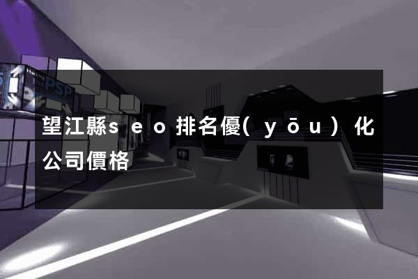 望江縣seo排名優(yōu)化公司價格