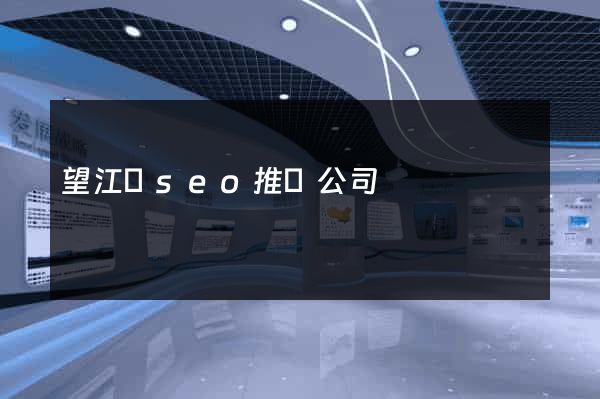 望江縣seo推廣公司