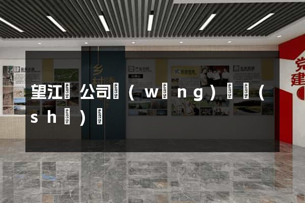 望江縣公司網(wǎng)頁設(shè)計