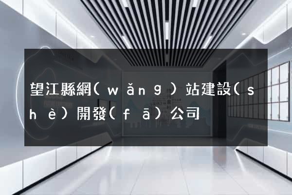 望江縣網(wǎng)站建設(shè)開發(fā)公司