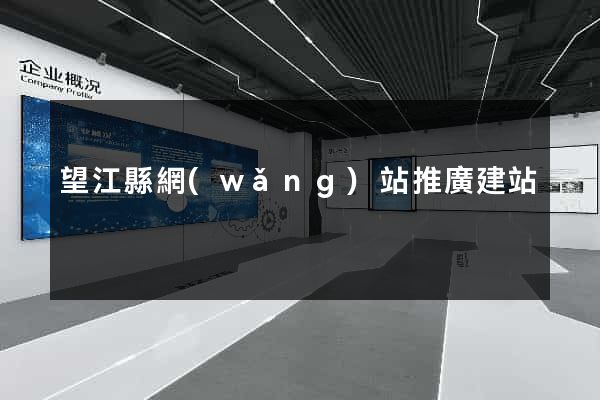 望江縣網(wǎng)站推廣建站