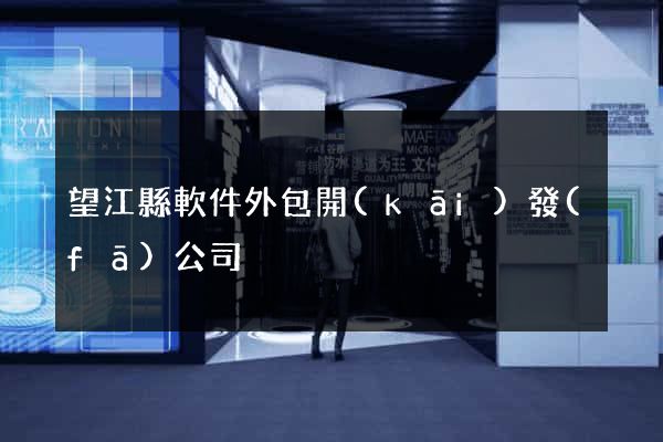 望江縣軟件外包開(kāi)發(fā)公司