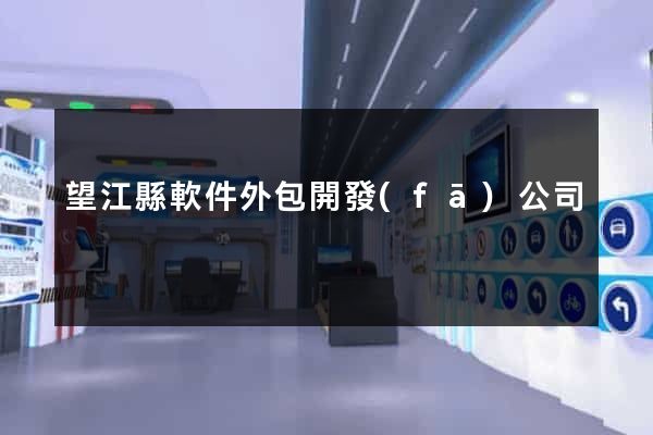 望江縣軟件外包開發(fā)公司