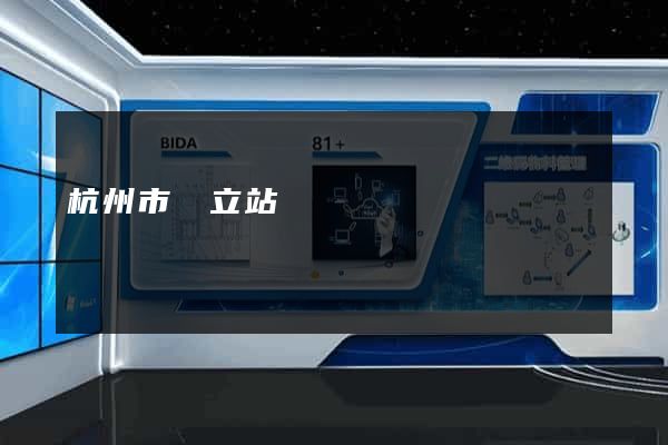杭州市獨立站運營