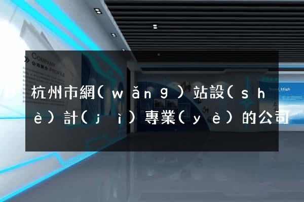 杭州市網(wǎng)站設(shè)計(jì)專業(yè)的公司