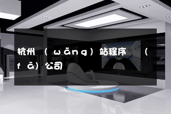 杭州網(wǎng)站程序開發(fā)公司
