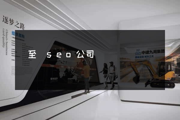 東至縣seo公司