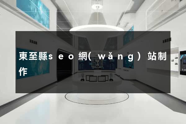 東至縣seo網(wǎng)站制作