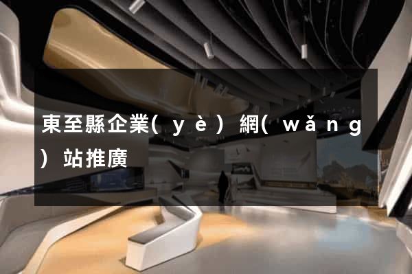東至縣企業(yè)網(wǎng)站推廣